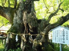 瀬戸内の島　大三島でサイクリング