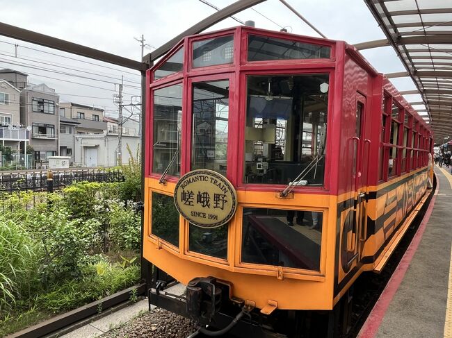 県民割を使って嵯峨からトロッコ列車に乗って亀岡に行きました。<br />トロッコも保津川下りも初めて。<br />トロッコ列車は人が多かったし、時間もかかるけれど景色がまた風情があってこれもいいですね。<br />秋にまた行きたい。<br />亀岡に着いたらバスに揺られて保津川下りの乗船場へ。<br />この日は水の量が少なかったらしく1時間50分ほど乗船してました。<br />水の量が多いと50分ほどで嵐山に着くそうです。<br />船頭さん3人いらっしゃいました。皆さんおもしろかったです。<br />チケット売り場の壁には芸能人の色紙がたくさんありました。<br />ＡＫＢとかTM.Revolutionの西川さんとかの色紙がありました。<br />直近では元阪神の鳥谷さんが乗船したそうです。<br />ちなみに船頭さんは今まで乗せた芸能人の中では小泉今日子さんと管野美穂さんがきれいだったとのことです。<br />保津川下りはちょっとしたＵＳＪのジュラシックパークでした（笑）。<br />ちなみに夏は照り返しがきついのでオススメしないとのことです。<br />今度は秋にまた乗りたいです。<br /><br />嵐山に着いてからはすき焼きを食べました。相方はしゃぶしゃぶを食べてました。<br />昼食後はミッフィーとリラックマの店で買い物して帰りました。<br /><br />県民割を使っての日帰り旅行。<br />京都駅から嵯峨までの往復切符とトロッコの片道切符（880円）、保津川下りの乗船場までのバス代（310円）、昼食代（2200円）、保津川下り代（4100円）、京都で使える2000円のクーポン付きで一人5400円でした。<br />めっちゃ得したし楽しかった。<br /><br />京都付近にお住まいの方はオススメです。<br /><br />