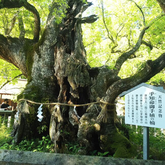 日帰りでしまなみ海道の1つ、大三島でサイクリングを楽しんできました。しまなみ海道といえば広島側は尾道から向島、または三原から生口島のコースしか思いつかなかったけど、同行した友人が車を出してくれて、以前行ったことがあるという忠海港→大三島盛港をフェリーで渡るコースに。<br />結果、渋滞を避けることになりました。<br />