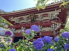 紫陽花旅　桜川雨引観音編