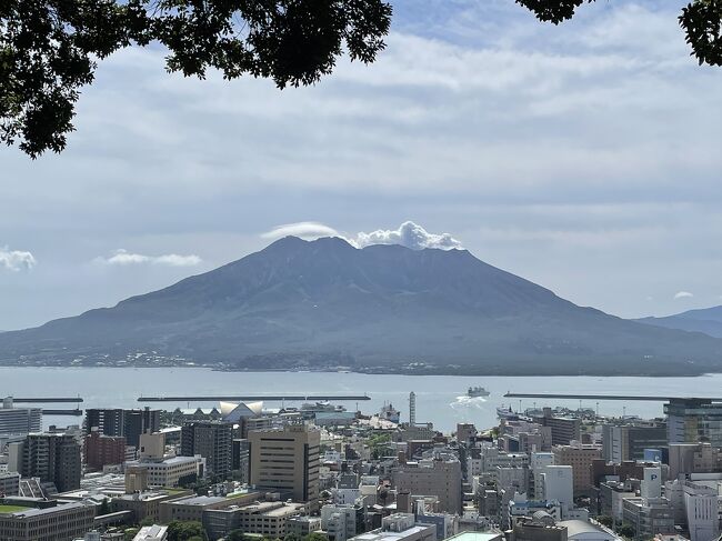 ピーチのセールで往復で約８０００円でした。<br />鹿児島は初めてで、滞在時間は短いものの、目的のシロクマと黒豚を楽しみました。<br />