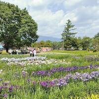 【1泊2日　初夏の山形　ひとり旅】あやめと高原の週末ドタバタ旅の巻　１日目