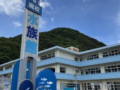 日曜市とむろと廃校水族館が楽しすぎました《FDAミステリーツアーで高知県へ》