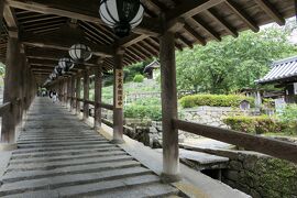 初夏の三重・奈良・京都♪　Vol.64 ☆桜井市：美しい長谷寺　登廊♪