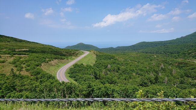 北海道、息子が生まれてから5回目となりました<br /><br />①母と夫と息子の4人で新千歳から星野リゾートトマム→富良野→美瑛→旭山動物園とめぐった<br />6月末なのに極寒で北海道だなぁ…と思った<br /><br />②息子4歳の5月に、大阪のお友達に会いに中標津へ行き、ファームステイ<br />牛さんや野性動物、自然に感激<br />5月なのに30℃を越える夏日で、日本で一番暑いのが北海道だったという…<br /><br />③5歳の2月には札幌雪まつり<br />コロナの始まりで若干人手は少なかったものの、賑わう雪まつりと魚介を満喫<br />行く直前に大雪が降った後で、豪雪の雪道を歩くのも楽しかった<br /><br />そして、またまた北海道へ(特典航空券)<br />月曜日に思い立って木曜日に出発という弾丸<br />初夏の北海道、天気も良さそうなので、世界遺産知床の自然と動物<br />最近夢中のマウンテンバイクを持参して、知床峠からダウンヒルしてきました！！！<br /><br />