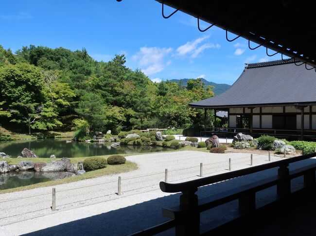 ６月中に梅雨が明け、真夏日や猛暑日が続く東京。<br />もしかして東京より涼しい？京都へ行っちゃいます!<br /><br />目的は、高島屋で唯一訪れていない<br />洛西高島屋へ行くためです。<br />最寄駅からバスでしかアクセスできず<br />これまで行くことチャンスがありませんでした。<br /><br />でもデパートだけじゃもったいないので<br />嵐山で湯豆腐を味わったり、<br />美しい庭園を眺めながら泡を堪能したり、<br />鴨川納涼床で優雅に食事したり、<br />京都でしか買えないバッグを買ったり・・・<br />久々の京都を満喫してきました。<br /><br />京都って宿泊するのは35年ぶりくらい？<br />いつもは日帰りだったので<br />今回はのんびり・・・と思っていたのに<br />やっぱりドタバタでした(=_=)<br />