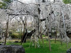 地元散策③真間山弘法寺・手児奈霊堂