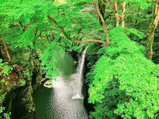 竜巻だけど行けるのか?大雨なら、どげんがせんといかん、宮崎＆熊本旅　②　（高千穂峡と夜神楽を見たー）