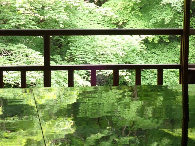 5月GW明けの週末。<br />びびパパがまたまたお得な航空券を見つけてポチ。<br />伊丹空港からどこへ行こうか??<br /><br />そうだ!<br />3月の滋賀県旅行のリサーチ中に見つけたびわ湖疎水船!<br />大津から蹴上まで船で移動したら京都だね!<br />5月の京都はちょうど青もみじが美しい時期。<br />久しぶりの京都は<br />青もみじの美しいエリア・・鞍馬寺・貴船へ。<br />そして特別拝観中の瑠璃光院も。<br />お城つながりで二条城を見て<br />東本願寺に圧倒されました。<br />京都はやっぱり不思議な魅力であふれる街。<br />行けば行くほどまた行きたくなるな~。<br />1泊2日でも楽しめた京都旅でした。<br /><br />5/14 仙台空港7:15発ー大阪伊丹空港着9:15着 <br /> ANA 732便<br /> リムジンバスで京都駅<br /> 京都駅から琵琶湖線で山科経由京阪線で浜大津。<br /> 三井寺に拝観してからびわ湖疎水船。<br /> 蹴上インクラインを見て二条城。<br /> 夕食は京都のおばんざいを頂きました。<br /> <br /> 天然温泉 蓮花の湯 御宿 野乃京都七条 泊 <br /> <br />5/15 鞍馬寺から貴船へ。<br /> 川床でお昼を頂いた後<br /> 貴船神社<br /> 瑠璃光院<br /> 東本願寺 <br /> 京都駅からリムジンバスで大阪伊丹空港へ<br /> 大阪伊丹空港19:40発ー仙台空港20:55<br /> ANA739便 <br /> <br />航空券:ANA HPから予約<br /> 往復1人21,380円<br /> スカイコイン+差額クレカでお支払い<br /><br />ホテル:天然温泉 蓮花の湯 御宿 野乃京都七条<br /> プラン:【早期割30◆朝食付】<br /> 30日前までのご予約がお得の早期割引!<br /> 癒しのシンプルステイプラン☆<br /> 客室:◆禁煙◆ツインルーム<br /> 大人@ 10,150 円 x 2 名合計20,300円<br /><br />ドーミーインHPから予約<br /> <br />この旅行記は<br />2日目後半。<br />貴船の川床でお昼を頂いて貴船神社へお詣り。<br />その後叡山電鉄で八瀬比叡山口の瑠璃光院へ。<br />床もみじならぬ机もみじの美しさに感動。<br />旅の最後は東本願寺に圧倒されました。<br /><br /><br />備忘録としての旅行記です。<br />シツコクなるのをお許し下さい。