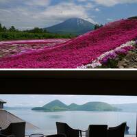 2泊3日北海道旅【前編】ふきだし公園～三島さんの芝桜～サイロ展望台～ザ･レイクスイート湖の栖 宿泊