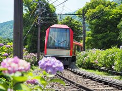 コスパ最強 かながわ旅割で行く箱根　あじさい電車・cu-mo箱根