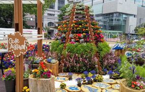 初夏の札幌 大通公園 花フェスタ22とバラ園 札幌 北海道 の旅行記 ブログ By Ake Bingaさん フォートラベル