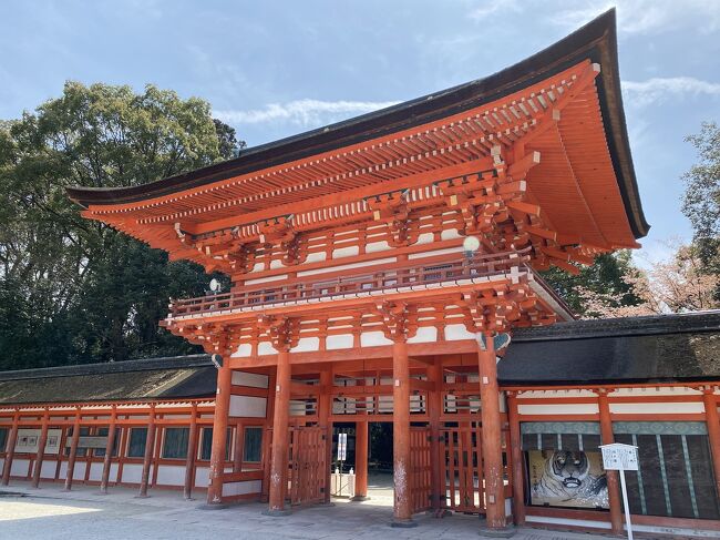 これまで行けるのに行ってなかった京都遠征ですが、京都サンガが12シーズンぶりにJ1へ昇格したため、約6年ぶりに春の京都を訪問しました。<br />亀岡でのサッカー観戦後、京都市内で1泊した翌日も京都市内での観光や、京都グルメを堪能しました。<br /><br />※試合詳細<br />明治安田生命 J1リーグ 第7節<br />2022年4月6日(水)18:33KO【サンガS】<br />京都サンガF.C. 1-1 ガンバ大阪<br />入場者数:9,869人<br /><br />*滞在先ホテル<br />4/6~4/7 1泊 東急ステイ京都三条烏丸
