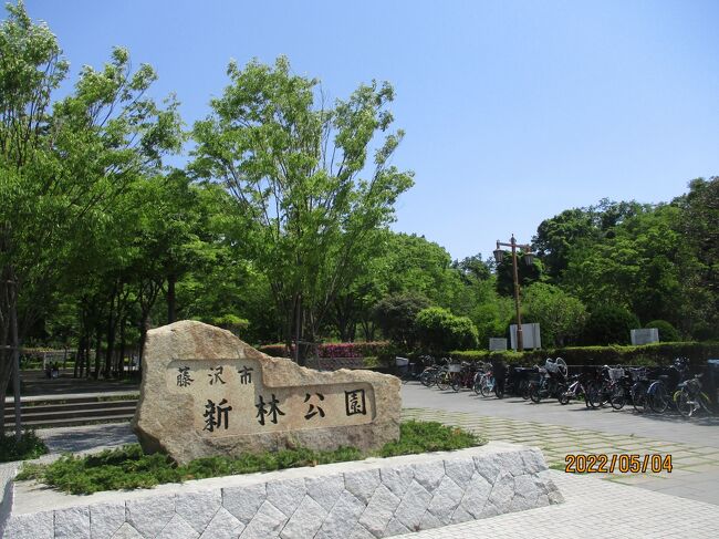 　梅雨の晴れ間・・・今年は梅雨らしくありません。湘南の藤沢は「江の島」が観光地として知られていますが、藤沢市内にも季節ごとの小さな旅が楽しめまる公園があります。近場の「小さな旅」としてお薦めします。公園には谷戸があります。三方が丘陵山地で扇を広げたように囲まれた公園です。稜線にはハイキングの出来る周遊の道があり、一周が歩いて２０分位で、危険性はありません。途中に「しし穴（猪・・・）獣の落とし穴の跡とか、展望の良いところとか、季節の山地植物とかが楽しめます。春先は梅の花が見事に咲きそろう広場が中心で賑やかになります。駐車場は無料で３０台位が可能です。JR「藤沢」からは徒歩で２０分位かな・？。今日は梅雨の晴れ間に小さな旅とグルメを楽しみました。<br />