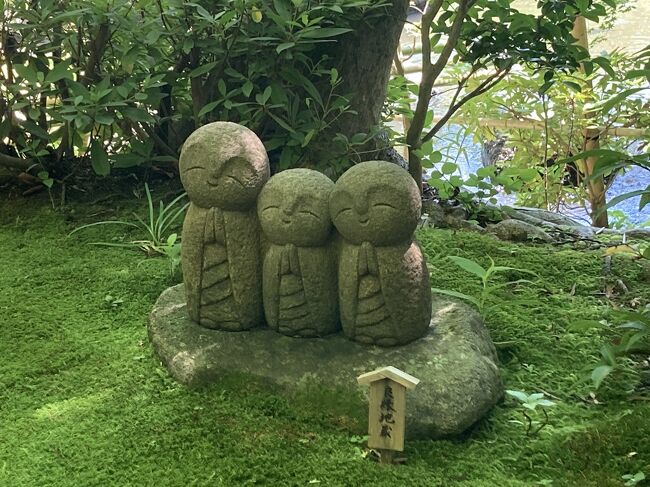 酷暑の中、紫陽花を見に鎌倉の長谷寺へ行ってきました。あじさい路は、木陰も多くあじさい散策を楽しめました。