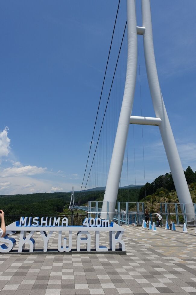 ６月なのに猛暑の熱海＆三島２日間【２日目後編】三島スカイウォーク、小田原駅で遅めのランチ