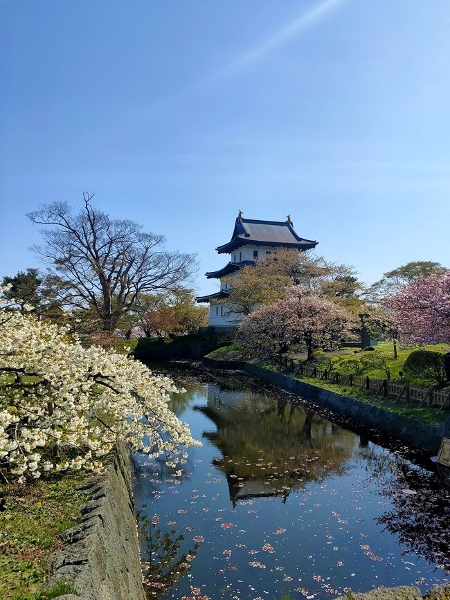 2022GW道南旅行②　松前城桜まつりへ