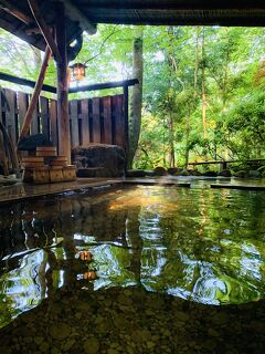 鳴子温泉。秘湯の宿、そして奇湯の宿…