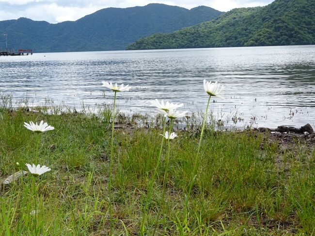 6月と思えない暑さのなか、少しでも涼しい所を、ということで標高の高い奥日光竜頭の滝まで一人で行ってきました。<br /> 早朝に東京駅出発、行はJR、帰りは東武で。駅から奥日光はバスで。<br /> 月曜日ということもあり静かでしたが、天気も上々。明らかに気温も低く快適な自然散策でした。<br /><br /> 行程 <br /> 東北新幹線と日光線ーバスで竜頭の滝へー竜頭の滝から中禅寺湖まで歩くー中禅寺湖遊覧船乗り場付近散策ーバスで駅へー遅い昼食の後東武特急で帰る<br /><br />なお、表日光を紅葉時期に廻った旅行記は下記をご覧ください<br />「秋の日光をめぐる1」<br />https://4travel.jp/travelogue/11561275<br />「秋の日光をめぐる2」<br />https://4travel.jp/travelogue/11561609