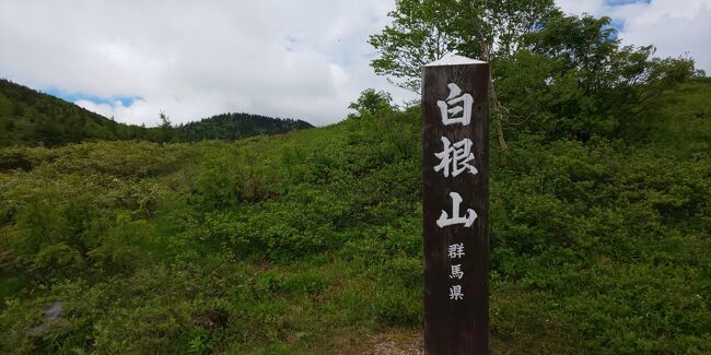 ２歳になる娘を連れて草津温泉旅行に行ってきました。<br />前回草津に行ったのが2016年だったので実に６年ぶりの再訪です。<br />愛郷ぐんまプロジェクトを利用したので、新型コロナワクチン３回目接種を受けた人は１人辺り５千円割引。<br />娘、妻、さらに妻のご両親らと行ってきました。<br />二日目は大人中心で白根山に行ってきました。