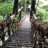 夏旅！徳島の秘境を訪ねて。初！祖谷渓・大歩危プチ観光(^_^)