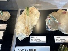 上野国立科学博物館で宝石展～上野動物園でパンダ～すみだ水族館