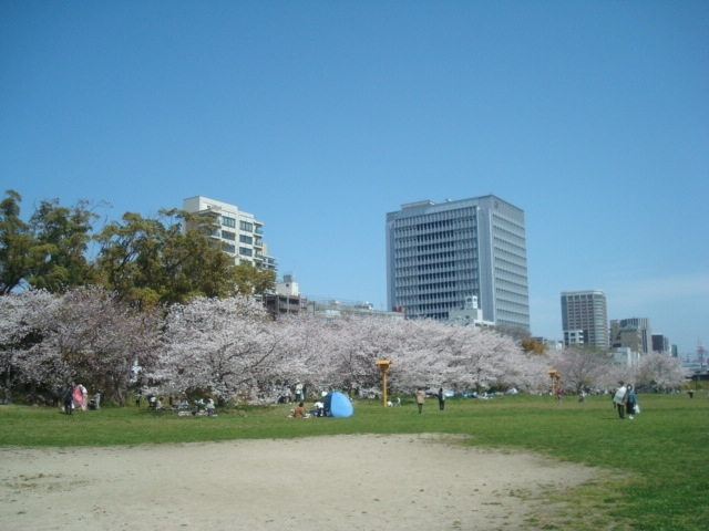 春の大濠公園は気持ちよく散策できて、舞鶴公園はどこに行っても一面桜でした。<br />舞鶴公園の敷地が広くて高低差があり、思うように散策できず迷ってしまいました。<br />大濠公園・舞鶴公園の観光所要時間は1時間15分程でした。