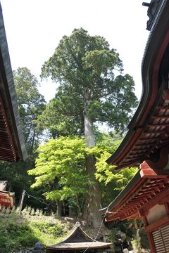 初夏の三重・奈良・京都♪　Vol.79 ☆桜井市：美しい談山神社　江戸時代の社殿♪