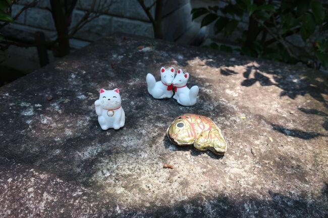 2022年7月1日～2日の1泊2日で茨城県笠間市の観光に出かけてきました。昨年6月にも茨城県を旅行しているのですが、その時にスケジュールの都合で割愛したエリアを今回は周ります。笠間というと笠間焼のイメージしかなかったのですが、その他にも面白い観光資源がいっぱいある場所でした。<br />関東地方も梅雨明けして本格的に暑くなってきた7月初め、徒歩の観光には厳しい季節になりますが、気合を入れて観光します。<br />旅行記その２は笠間市観光の中心エリアを「かさま観光周遊バス」の1日自由乗車券をフル活用して観光します。陶芸美術館や笠間稲荷など観光名所を効率よく周遊してくれる便利なバスを使って暑さ対策は万全です。