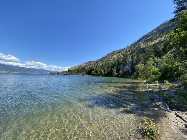 Okanagan lake north camping 2022年6月25日-26日