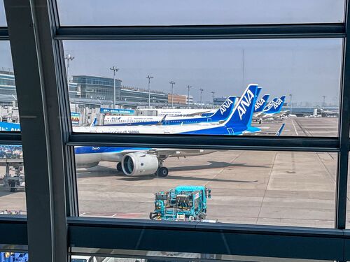 希少　ANA 2000年代　A321安全のしおり 希少 ANA 2000年代 A321安全のしおり