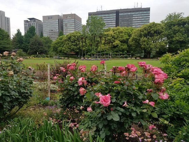 日比谷を歩いてみました。写真は日比谷公園