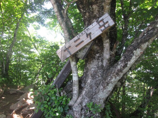 西湖のほとりの宿に泊まって、毛無山から十二ヶ岳を縦走しました。