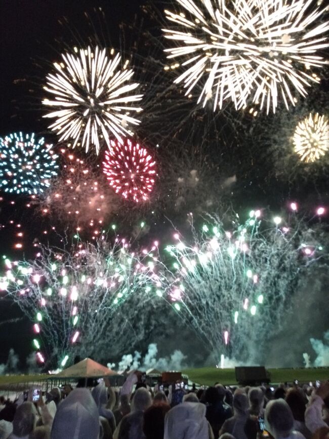 　2022/7/2～7/4の2泊3日で、沖縄に宜野湾花火を見に行って来ました。<br />　久々の海外?!（本州脱出）です。台風4号が迫り開催が危ぶまれる中、「第19回琉球海炎祭～10,000発の花火と音楽のコラボレーション～」は無事開催され、久々の花火大会を楽しむことができました。天候不順でゆっくり観光はできなかったけど、要所要所で雨が止み、観光もそれなりに楽しむことができました。<br /><br />＜ツアー＞<br />「琉球海炎祭を楽しむ 沖縄フリータイム 3日間パシフィックホテル沖縄」<br />（JTB旅物語：7/2出発二泊三日：41,020円/人）<br /><br />●飛行機：<br />　往路：JAL903便：羽田7:30→10:10那覇<br />　復路：JAL904便：那覇11:10→13:40羽田<br />●ホテル：パシフィックホテル沖縄（朝食付き）<br /><br />●レンタカー：オリックスレンタカー（別途予約）<br />　ＥＡクラス（エコカータイプ） 乗用車 / コンパクト（18,670円）<br /><br /><br />