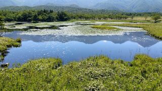 北海道・道北、道東の旅　夏の思い出　～知床・ウトロ・羅臼～ 