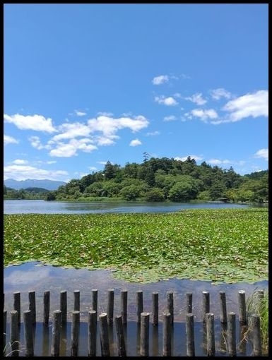 そろそろ埼玉以外に行きたいし、行った事のない温泉地へ行ってみたいと思い、<br />南会津は湯野上温泉へ行って来ました。<br />天気にも恵まれ、ホントに久しぶりに遠出してる感じの旅行で楽しめました。