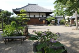 初夏の三重・奈良・京都♪　Vol.110 ☆明日香村：美しい「飛鳥寺」♪