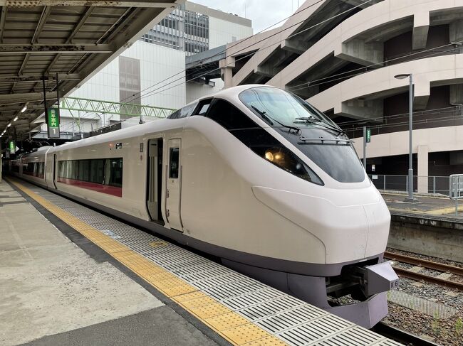 乗り鉄旅４日間有効の大人の休日切符の最終日は山形からは両方ともに初めての仙石線で仙台へ、常磐線の特急ひたちで東京へと向かおう