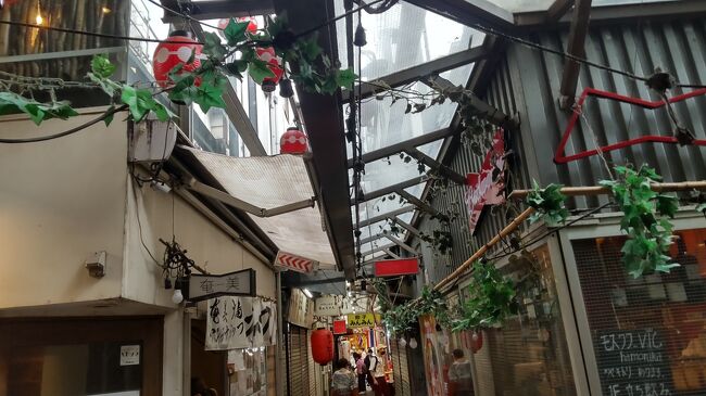 中央線と井の頭線が交差する吉祥寺駅。<br />人気の街として有名だが、その理由は立地利便性もさることながら、その街並みにある。<br /><br />この日は北口から。<br />まずハーモニカ横丁が目に前にある。<br />昭和レトロな雰囲気の細い路地。<br />飲み屋が並ぶ独特の雰囲気の通りは散歩するだけでも楽しい。<br /><br />駅正面の通りはアーケド街。<br />この通りも飲食店やショッピングをする店が並ぶ。<br />アーケード街からそれる通りも魅力がある。<br /><br />この日はアーケードの奥にある人気店でランチする。<br />移転したばかりと言う「スパ吉」へ。<br /><br />ランチとしては少し早い時間だが、早くも少しだけ待つ。<br />券売機で食券を買うシステムなので先に買ってから並ぶ。<br /><br />5分程度でカウンター席の奥に案内される。<br />注文は缶ビールとトマトパスタ。<br />ランチのサラダでビールを飲む。<br /><br />少し待つと料理が出てきた。<br />正式には揚げナスとベーコンとモッツァレラチーズのトマトソースと言う名のパスタは熱々でトマトソースが絡んで実に美味しい。<br /><br />他にも種類があるから次回は別のものを食べてみよう。<br />店を出てから散歩。<br />北口とは違った雰囲気の南口に出る。<br /><br />井の頭公園に向かおう。<br />この井の頭公園の存在も吉祥寺と言う街の人気を高める。<br />どことなく懐かしい雰囲気の北口と違って、落ち着いたお洒落な奮起の北口。<br /><br />公園に着く間にもお洒落な店がある。<br />公園内をゆっくり散歩する。<br /><br />大きな池を眺めながらゆっくり散歩する。<br />公園を出て駅に向かう。<br />この通りも明るくていい。<br /><br />駅前の細いバス通りも懐かしい。<br />ランチと吉祥寺の散歩。<br />くつろげた～。