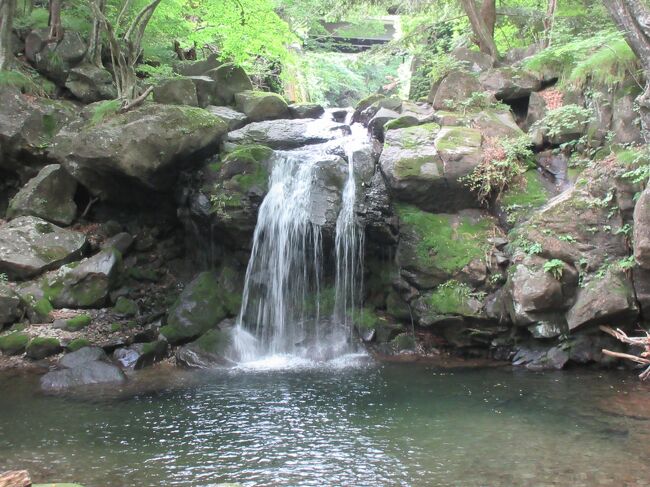 栃木県の塩原温泉ホテルおおるりに2泊して、奥塩原温泉の濁り湯に浸かりに行きました。<br />関東ブロックの県民割りで1泊に付き3000円の補助がある最後の2日間泊まりました。<br />さらに、栃木県地域クーポンが1泊につき2000円分もらえたので、実質1泊2,800円くらいで宿泊できました。<br />写真の枚数が多いので旅行記を3冊に分けました。<br /><br />①は、1日目『田んぼアート★県民割りで塩原温泉ホテルおおるり2泊3日』<br />道の駅しもつけ、長峰公園、道の駅湯の香しおばらの隣の『田んぼアート』、奥塩原温泉新湯に寄ってから、塩原温泉ホテルおおるりにチェックインしました。<br />　⇒ https://4travel.jp/travelogue/11764352<br /><br />②は、2日目『おしらじの滝と小太郎ヶ淵の後は『鮑のおどり焼』付き夕食』<br />ホテルの天空の露天風呂に浸かった後、八方ヶ原手前にある「おしらじの滝」の滝壺の色に感動し、小太郎ヶ淵茶屋の草団子を食べながら川のせせらぎを聞いて涼をとりました。<br />　⇒ https://4travel.jp/travelogue/11765249<br /><br />本編③は、3日目『奥塩原温泉新湯・八方ヶ原・県民の森』<br />奥塩原温泉新湯共同浴場「寺の湯」に浸かってから、八方ヶ原、県民の森、寺山ダム、道の駅やいたに寄ってから、帰宅しました。<br /><br />【参考】植物と野鳥については、Google画像検索（Googleレンズ）とWikipediaを参照、引用しました。