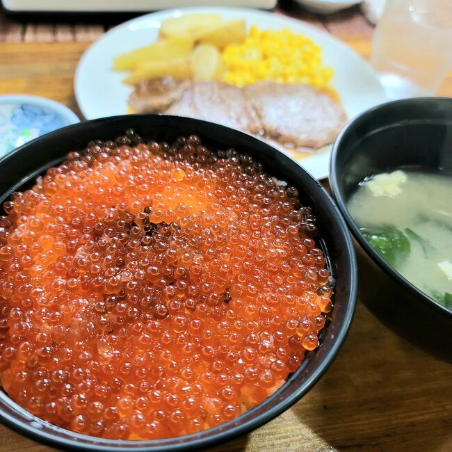 丼ぶり一面のいくら丼が食べたくて、北海道網走市にある「レストラン ホワイトハウス」に行って来ました。<br /><br />滞在8時間の日帰り旅。<br /><br />現地ではレンタカーを借りて色々立ち寄り、最終的には「目指せ知床峠」~!!<br /><br /><br />-- 旅のメモ --<br /><br />・JAL特典航空券 15,740マイル使用<br />・交通費(自宅~羽田空港):8,460円<br />・現地レンタカー:7,040円<br />・レンタカーガソリン代:1,920円<br />・駐車代:200円<br />・入館料:770円<br />・食費:5,198円<br /><br /><br />- 訪れた場所 ---<br /><br />・女満別空港<br />・メルヘンの丘<br />・オホーツク流氷館<br />・ジェラテリア Rimo<br />・網走川<br />・フードマスターベーシック 橋北店<br />・網走市民会館駐車場<br />・レストラン ホワイトハウス<br />・斜里岳(眺めるだけ)<br />・北浜駅<br />・道の駅 はなやか小清水<br />・天国に続く道 展望台<br />・知床半島<br />・遠音別川<br />・知床エゾシカファーム<br />・オシンコシンの滝<br />・三角岩<br />・道の駅 ウトロ観光案内所<br />・道の駅 うとろシリエトク<br />・プユニ岬展望台<br />・知床横断道路<br />・羅臼岳(眺めるだけ)<br />・知床峠展望台<br />・羽田空港第1旅客ターミナル