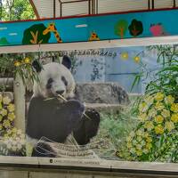 2022年6月・ふらりお泊り母子旅★後編：まさかの！パンダを見ない　上野動物園・HBD XiangXiang♪