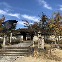 早朝の東寺と仁和寺・相国寺巡り