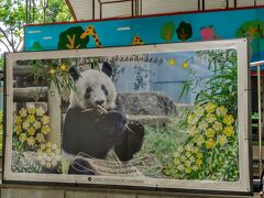 2022年6月・ふらりお泊り母子旅★後編：まさかの！パンダを見ない　上野動物園・HBD XiangXiang♪