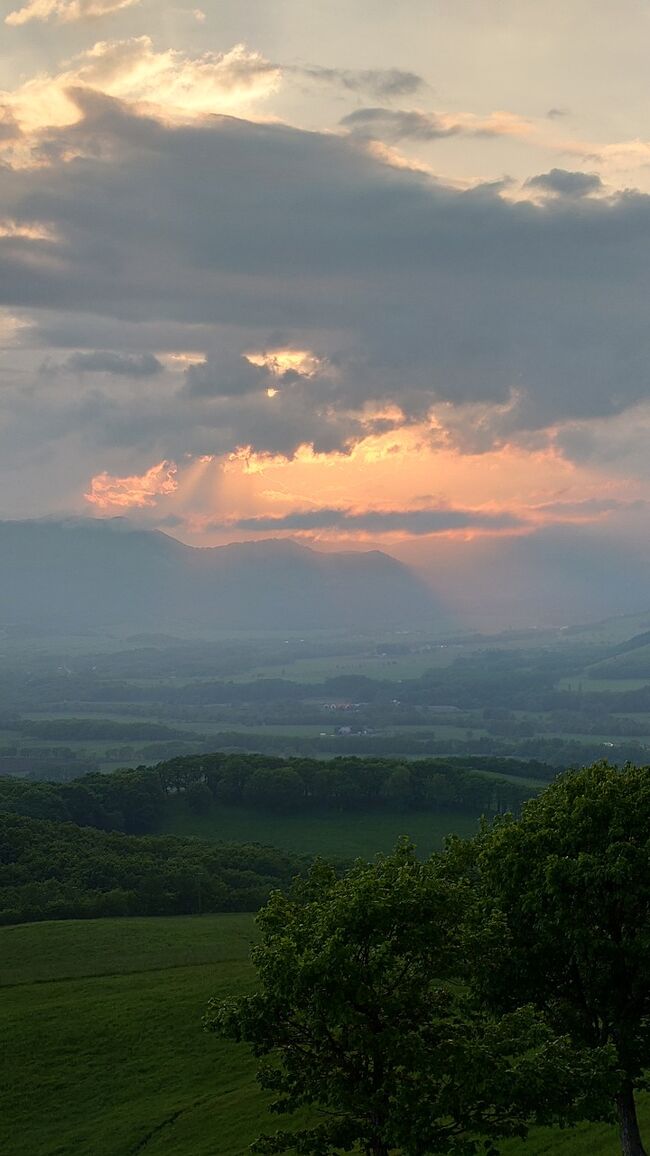 表紙写真：900草原展望台から夕日(18:30頃)<br /><br />０６月１８日（土）<br />１日目<br />伊丹空港（ANA）<br />新千歳空港（ANA）<br />新千歳空港（ANA）<br />女満別空港（ANA）<br />ニッポンレンタカー女満別<br />オホーツク流氷館 <br />ひがしもこと乳酪館<br />900草原<br />釧路ロイヤルイン<br />つぶ焼かど屋<br /><br />今回が１０回目の北海道旅行になる。<br />最初の計画は、羅臼でネイチャークルーズしようと、女満別行きまでの航空券３月中旬したマイルも含めとる。<br />楽天スーパーセールで女満別からのレンタカー(乗り捨て)を３月中旬予約した。<br />４月前半に嫁と相談し、６月はシャチは見れるが、マッコウクジラなどのクジラがが見れる可能性低いからから、羅臼にいくのをやめる。<br />釧路で海鮮食べたいし、ノロッコ列車に乗ったことがないし、乗るということで釧路で宿泊することに予定にする。<br /><br />伊丹～新千歳(ANA)<br />新千歳空港到着、乗り継ぎ便まで約３時間あり、<br />買い物、昼ご飯を食べて、女満別空港に向かう。<br /><br />女満別空港に到着し、レンタカーを借りてオホーツク流氷館へ向かう。<br />到着したら、雨が降ってきた。<br />流氷体感などして楽しむ。<br />この日の最終目的地は釧路なので、それに向けてナビを見てルートを大体決める。<br /><br />網走からひがしもこと乳酪館に到着。<br />２０１９年に女満別空港で乳酪館のソフトクリーム食べて美味しかった。その時、定員さんからもらって少し傾けたクリーム折れてビックリ、それぐらいやらかい。<br />ひがしもこと乳酪館でカマンベールチーズソフト食べてやっぱり美味しかった。<br /><br />乳酪館から釧路向かってに走ってたら、900草原 の看板を発見、ここがそうなんやと上がっていき、駐車場に停めて展望台に行くと夕日が見えた。　<br />19:00前でも牛が放牧されていた。<br /><br />釧路では2016年にも行った『虎や』に行くのを楽しみにしてたが、『虎や』に20:30に行ったが、営業時間17:00～23:00 やのにもう食べ物がないわと言われて泣く泣く断念。<br />『虎や』はこの日の後、日、月が定休日になってたから、食べ物がないと言われたことが意味が後でわかる。<br /><br />『虎や』がダメだったので、前から気になっていて行きたかった『つぶ焼かど屋』へ行く。<br />こちらは賑わっていたが、カウンターに座れた。<br />つぶ焼、ラーメンを注文する。<br />つぶ焼はおいしいし、ラーメンはスープが独特で美味しくて止まらんかった。<br />　<br />2016年 虎や<br />https://4travel.jp/travelogue/11146791<br /><br /><br />【北海道５泊６日】<br />０６月１８日（土）<br />１日目 https://4travel.jp/travelogue/11765500<br />伊丹空港（ANA）<br />新千歳空港（ANA）<br />新千歳空港（ANA）<br />女満別空港（ANA）<br />ニッポンレンタカー女満別<br />オホーツク流氷館 <br />ひがしもこと乳酪館<br />900草原<br />釧路ロイヤルイン<br />つぶ焼かど屋<br /><br />０６月１９日（日）<br />２日目 https://4travel.jp/travelogue/11763894<br />釧路ロイヤルイン<br />ノロッコ列車 釧路発～塘路駅 <br />ノロッコ列車 塘路駅～釧路駅 <br />釧路ロイヤルイン<br />ラビスタ阿寒川<br /><br />０６月２０日（月）<br />３日目 https://4travel.jp/travelogue/11763555<br />ラビスタ阿寒川<br />上士幌道の駅<br />タウシュベツ川橋梁<br />上士幌道の駅　<br />十勝川温泉 豆陽亭<br />ばんえい競馬<br />十勝川温泉 豆陽亭<br /><br />０６月２１日（火）<br />４日目 https://4travel.jp/travelogue/11763173<br />十勝川温泉 豆陽亭<br />道の駅おとふけ あおぞらの里<br />柳月スイートピアガーデン<br />幾寅駅<br />とみたメロンハウス<br />旭山動物園<br />くまげら<br />ラビスタ富良野ヒルズ<br /><br />０６月２２日（水）<br />５日目 https://4travel.jp/travelogue/11764408<br />ラビスタ富良野ヒルズ<br />くろべこ（平取）<br />道の駅あびらD51ステーション  　　<br />平岸高台公園<br />創世スクエア  <br />ヨイッチーニ <br />グランドパーク小樽<br /><br />０６月２３日（木）<br />６日目 https://4travel.jp/travelogue/11762818<br />グランドパーク小樽<br />田村岩太郎商店<br />道の駅マオイの丘公園<br />レンタカー返却<br />新千歳空港<br />新千歳空港（Peach）<br />関西空港（Peach）<br /><br /><br />