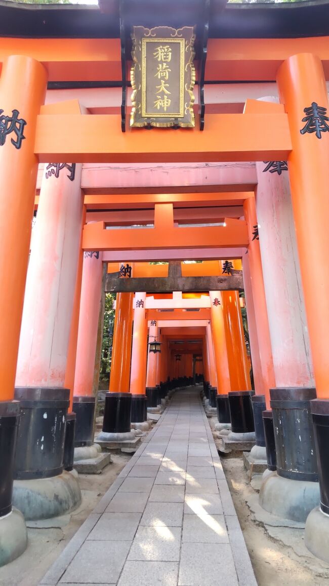 京都は伏見稲荷と清明神社のパワースポットを巡り、奈良の橿原に宿泊し明日香周辺を周遊しました。