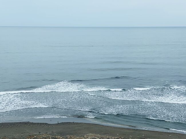 今年の夏休みは北海道へ6泊7日。<br />函館IN、釧路OUTで北海道を横断します。<br /><br />8/14 (日)<br />ANA555  13:05羽田発  14:25函館着 (遅延)<br />函館大沼プリンスホテル 泊<br /><br />8/15 (月) <br />・大船遺跡<br />・しかべ間欠泉<br />・エルフィン<br />海の別邸 ふる川 泊