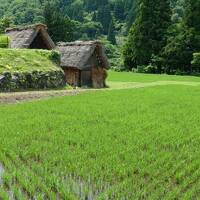 2022年6月憧れのレヴォから善光寺へ　その２～五箇山合掌造りを巡る