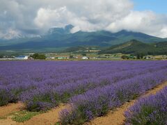 絵のような風景