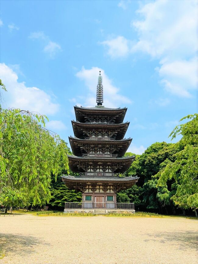 久しぶりの京都、やっぱり世界遺産に行きたいなと醍醐寺に初めて行きました！醍醐の花見で有名ですが新緑の醍醐寺は例えようもなく素晴らしかったです！！！